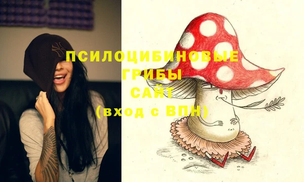 хмурый Михайловка