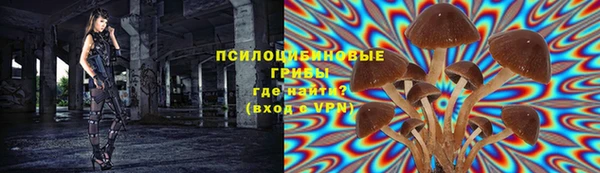 трава Надым