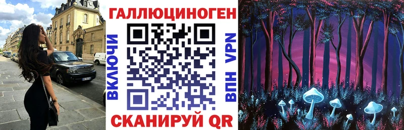 ссылка на мегу   Калтан  Галлюциногенные грибы Psilocybine cubensis 